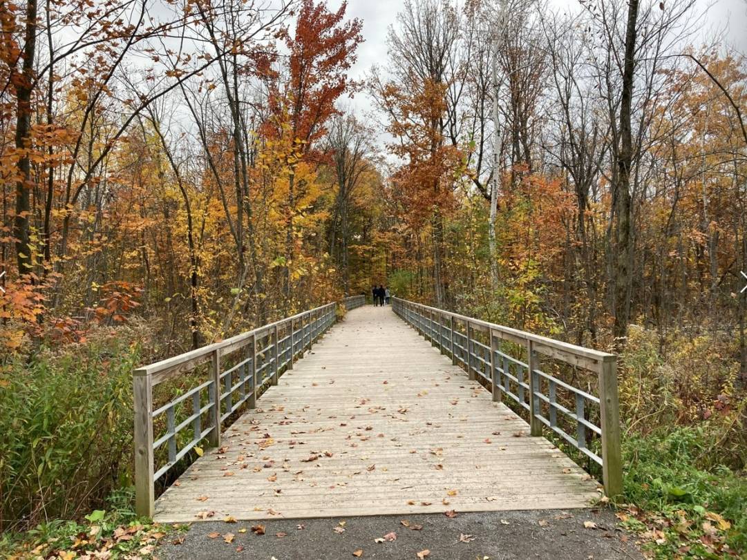 Sentier de la biodiversité